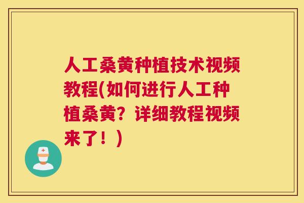 人工桑黄种植技术视频教程(如何进行人工种植桑黄?详细教程视频来了!) 人工桑黄种植技术视频教程(如何进行人工种植桑黄?详细教程视频来了!)