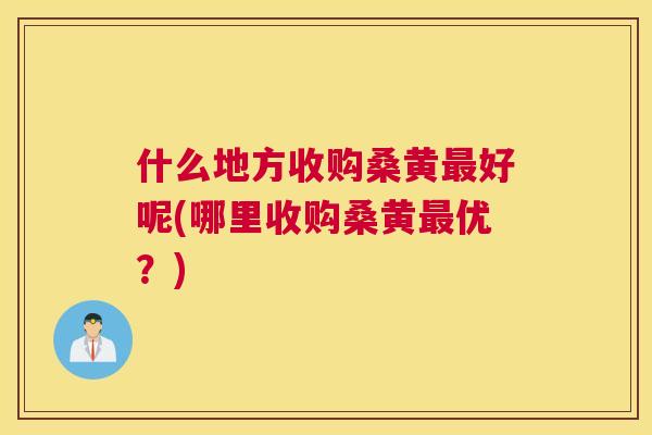 什么地方收购桑黄好呢(哪里收购桑黄优?) 什么地方收购桑黄好呢(哪里收购桑黄优?)