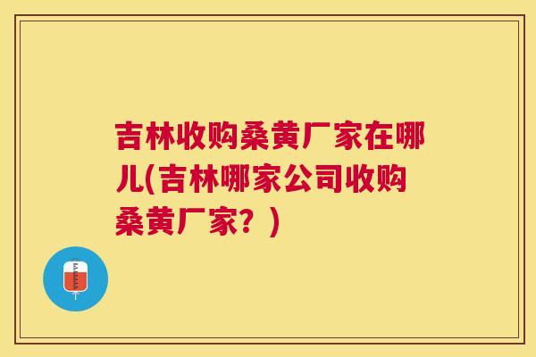 吉林收购桑黄厂家在哪儿(吉林哪家公司收购桑黄厂家?) 吉林收购桑黄厂家在哪儿(吉林哪家公司收购桑黄厂家?)