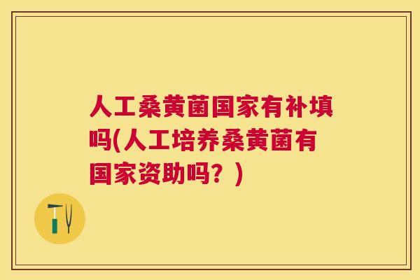 人工桑黄菌国家有补填吗(人工培养桑黄菌有国家资助吗?) 人工桑黄菌国家有补填吗(人工培养桑黄菌有国家资助吗?)