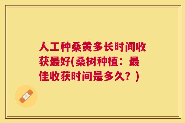 人工种桑黄多长时间收获好(桑树种植:佳收获时间是多久?) 人工种桑黄多长时间收获好(桑树种植:佳收获时间是多久?)