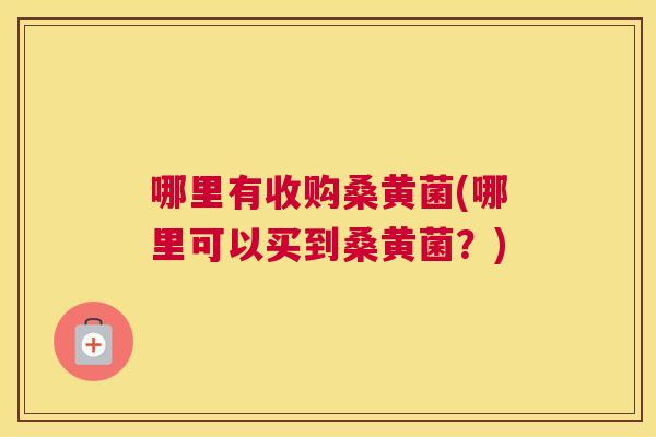 哪里有收购桑黄菌(哪里可以买到桑黄菌?) 哪里有收购桑黄菌(哪里可以买到桑黄菌?)
