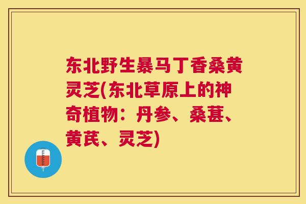 东北野生暴马丁香桑黄灵芝(东北草原上的神奇植物:丹参、桑葚、黄芪、灵芝) 东北野生暴马丁香桑黄灵芝(东北草原上的神奇植物:丹参、桑葚、黄芪、灵芝)