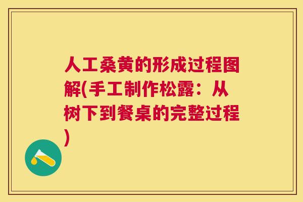 人工桑黄的形成过程图解(手工制作松露：从树下到餐桌的完整过程)