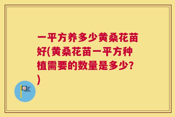 一平方养多少黄桑花苗好(黄桑花苗一平方种植需要的数量是多少？)