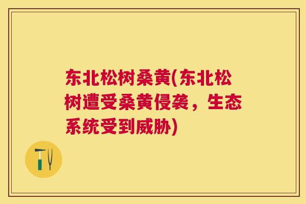 东北松树桑黄(东北松树遭受桑黄侵袭,生态系统受到威胁) 东北松树桑黄(东北松树遭受桑黄侵袭,生态系统受到威胁)