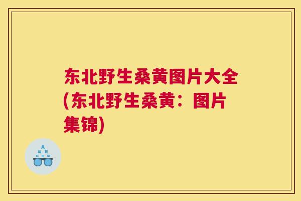 东北野生桑黄图片大全(东北野生桑黄:图片集锦) 东北野生桑黄图片大全(东北野生桑黄:图片集锦)