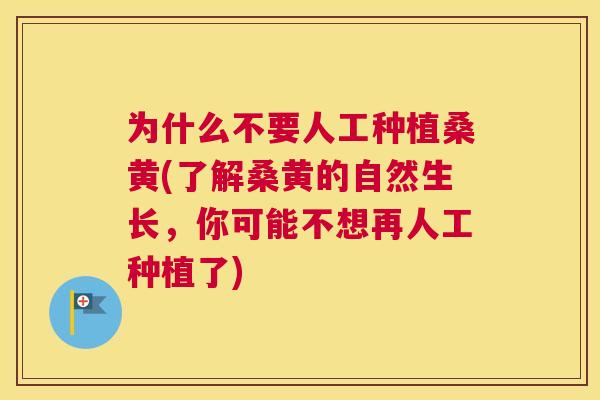 为什么不要人工种植桑黄(了解桑黄的自然生长,你可能不想再人工种植了) 为什么不要人工种植桑黄(了解桑黄的自然生长,你可能不想再人工种植了)