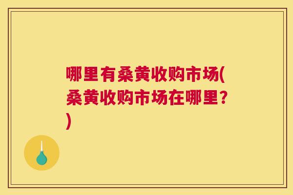 哪里有桑黄收购市场(桑黄收购市场在哪里?) 哪里有桑黄收购市场(桑黄收购市场在哪里?)
