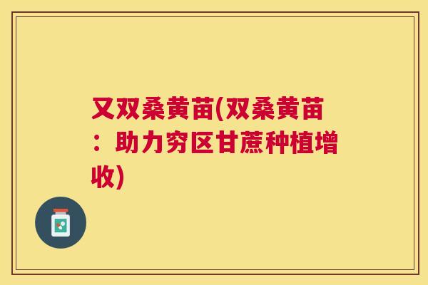 又双桑黄苗(双桑黄苗:助力穷区甘蔗种植增收) 又双桑黄苗(双桑黄苗:助力穷区甘蔗种植增收)