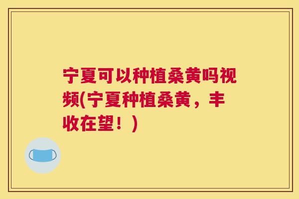 宁夏可以种植桑黄吗视频(宁夏种植桑黄,丰收在望!) 宁夏可以种植桑黄吗视频(宁夏种植桑黄,丰收在望!)