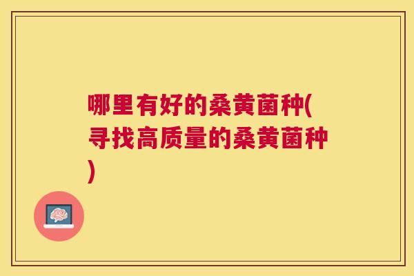 哪里有好的桑黄菌种(寻找高质量的桑黄菌种) 哪里有好的桑黄菌种(寻找高质量的桑黄菌种)