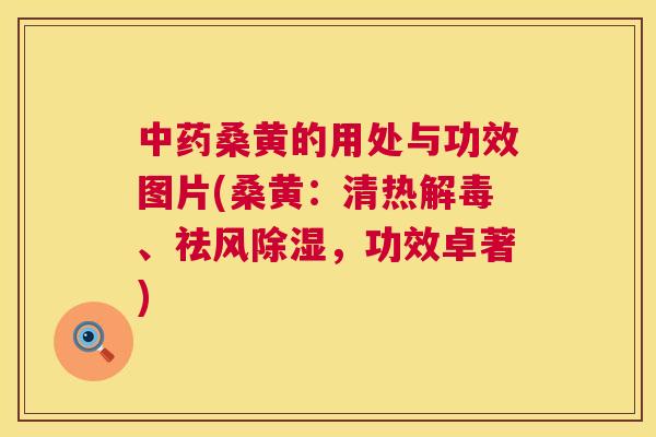 桑黄的用处与功效图片(桑黄:清热、祛风除湿,功效卓著) 桑黄的用处与功效图片(桑黄:清热、祛风除湿,功效卓著)