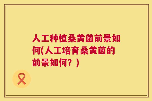 人工种植桑黄菌前景如何(人工培育桑黄菌的前景如何?) 人工种植桑黄菌前景如何(人工培育桑黄菌的前景如何?)