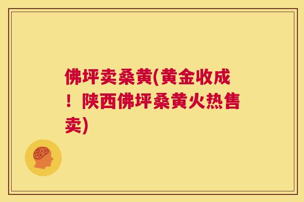佛坪卖桑黄(黄金收成!陕西佛坪桑黄火热售卖) 佛坪卖桑黄(黄金收成!陕西佛坪桑黄火热售卖)