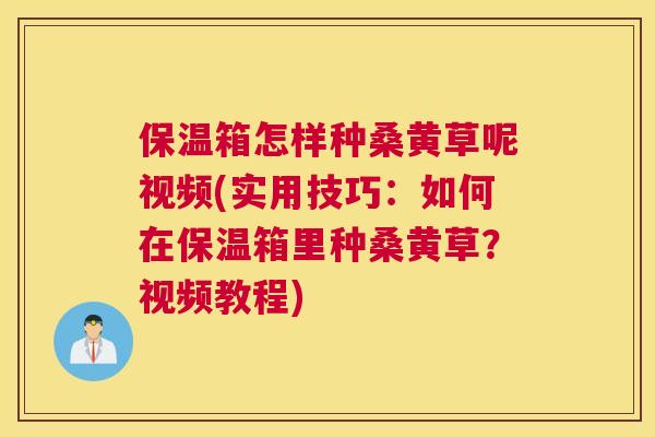 保温箱怎样种桑黄草呢视频(实用技巧：如何在保温箱里种桑黄草？视频教程)