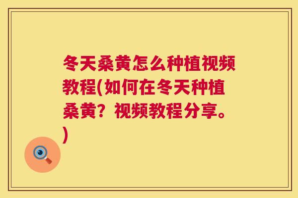 冬天桑黄怎么种植视频教程(如何在冬天种植桑黄?视频教程分享。) 冬天桑黄怎么种植视频教程(如何在冬天种植桑黄?视频教程分享。)