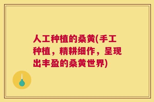 人工种植的桑黄(手工种植,精耕细作,呈现出丰盈的桑黄世界) 人工种植的桑黄(手工种植,精耕细作,呈现出丰盈的桑黄世界)