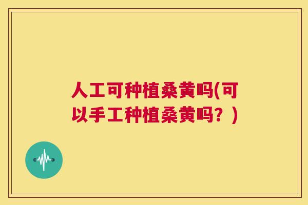 人工可种植桑黄吗(可以手工种植桑黄吗?) 人工可种植桑黄吗(可以手工种植桑黄吗?)