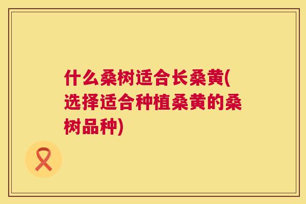 什么桑树适合长桑黄(选择适合种植桑黄的桑树品种) 什么桑树适合长桑黄(选择适合种植桑黄的桑树品种)