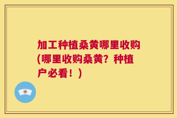 加工种植桑黄哪里收购(哪里收购桑黄?种植户必看!) 加工种植桑黄哪里收购(哪里收购桑黄?种植户必看!)