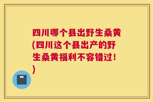 四川哪个县出野生桑黄(四川这个县出产的野生桑黄福利不容错过!) 四川哪个县出野生桑黄(四川这个县出产的野生桑黄福利不容错过!)