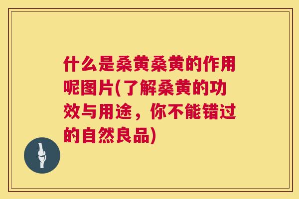 什么是桑黄桑黄的作用呢图片(了解桑黄的功效与用途,你不能错过的自然良品) 什么是桑黄桑黄的作用呢图片(了解桑黄的功效与用途,你不能错过的自然良品)