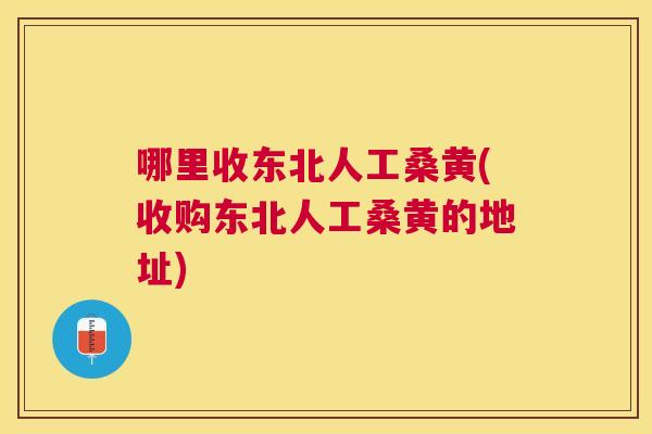 哪里收东北人工桑黄(收购东北人工桑黄的地址) 哪里收东北人工桑黄(收购东北人工桑黄的地址)