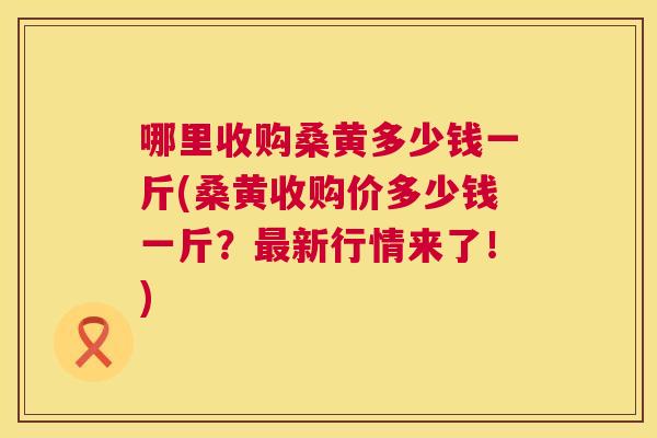 哪里收购桑黄多少钱一斤(桑黄收购价多少钱一斤？新行情来了！)