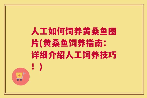 人工如何饲养黄桑鱼图片(黄桑鱼饲养指南：详细介绍人工饲养技巧！)