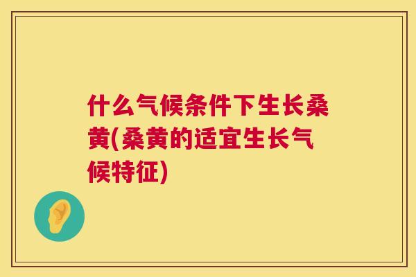 什么气候条件下生长桑黄(桑黄的适宜生长气候特征) 什么气候条件下生长桑黄(桑黄的适宜生长气候特征)