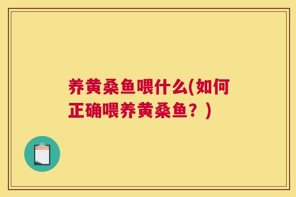 养黄桑鱼喂什么(如何正确喂养黄桑鱼？)