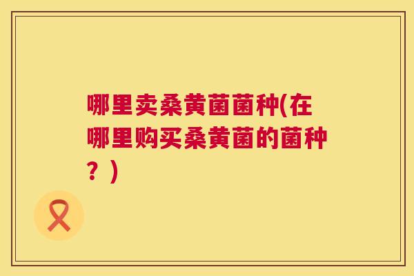 哪里卖桑黄菌菌种(在哪里购买桑黄菌的菌种?) 哪里卖桑黄菌菌种(在哪里购买桑黄菌的菌种?)