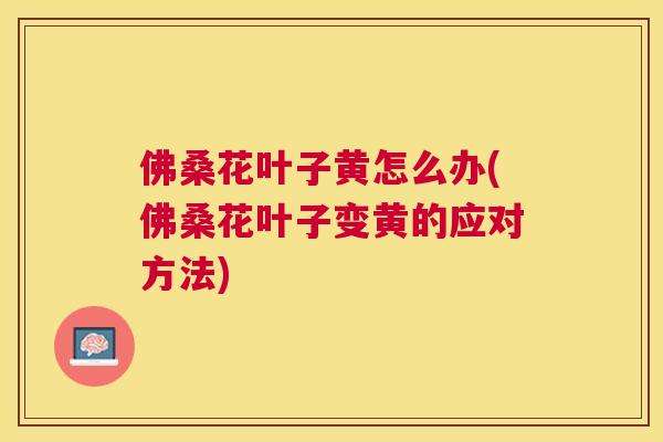 佛桑花叶子黄怎么办(佛桑花叶子变黄的应对方法) 佛桑花叶子黄怎么办(佛桑花叶子变黄的应对方法)