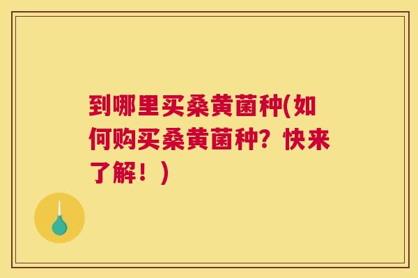 到哪里买桑黄菌种(如何购买桑黄菌种?快来了解!) 到哪里买桑黄菌种(如何购买桑黄菌种?快来了解!)