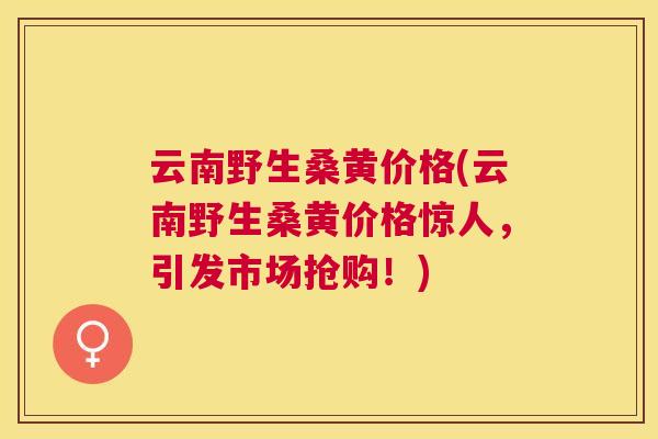 云南野生桑黄价格(云南野生桑黄价格惊人,引发市场抢购!) 云南野生桑黄价格(云南野生桑黄价格惊人,引发市场抢购!)