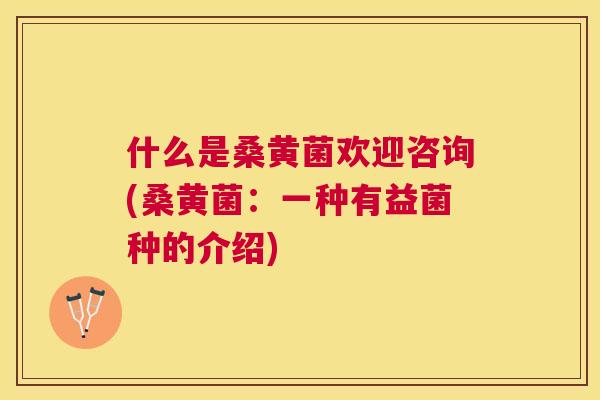 什么是桑黄菌欢迎咨询(桑黄菌:一种有益菌种的介绍) 什么是桑黄菌欢迎咨询(桑黄菌:一种有益菌种的介绍)