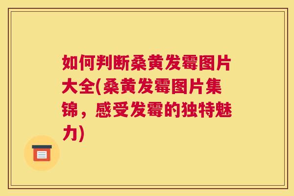 如何判断桑黄发霉图片大全(桑黄发霉图片集锦,感受发霉的独特魅力) 如何判断桑黄发霉图片大全(桑黄发霉图片集锦,感受发霉的独特魅力)
