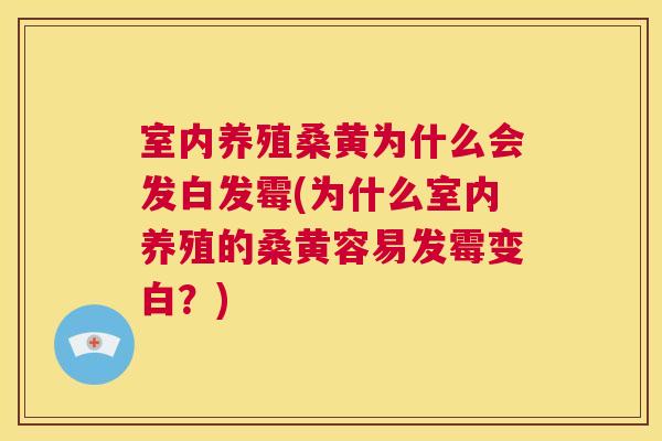 室内养殖桑黄为什么会发白发霉(为什么室内养殖的桑黄容易发霉变白?) 室内养殖桑黄为什么会发白发霉(为什么室内养殖的桑黄容易发霉变白?)