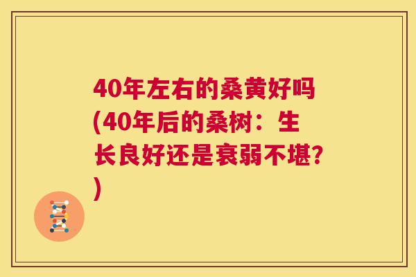40年左右的桑黄好吗(40年后的桑树:生长良好还是衰弱不堪?) 40年左右的桑黄好吗(40年后的桑树:生长良好还是衰弱不堪?)