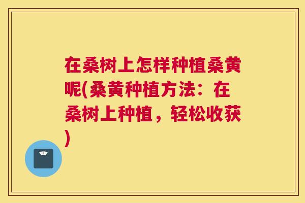 在桑树上怎样种植桑黄呢(桑黄种植方法:在桑树上种植,轻松收获) 在桑树上怎样种植桑黄呢(桑黄种植方法:在桑树上种植,轻松收获)