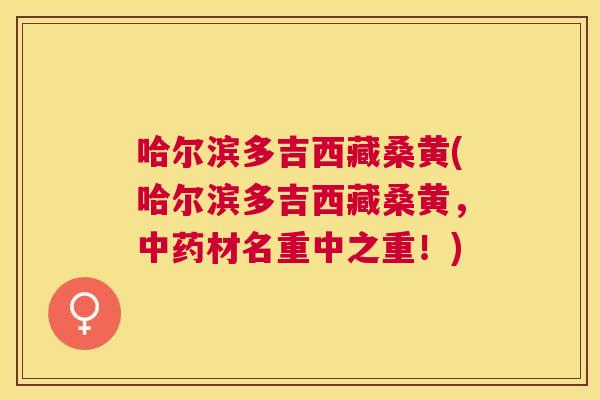 哈尔滨多吉西藏桑黄(哈尔滨多吉西藏桑黄,材名重中之重!) 哈尔滨多吉西藏桑黄(哈尔滨多吉西藏桑黄,材名重中之重!)