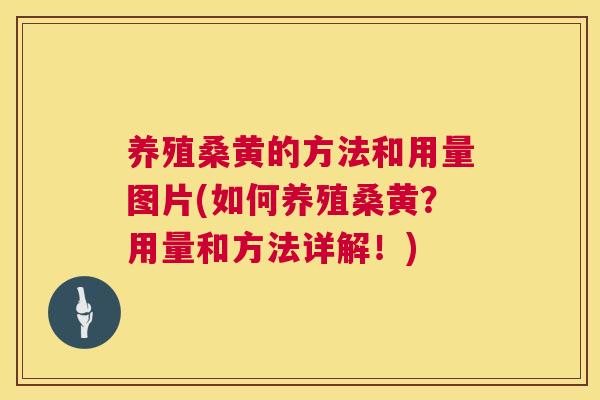养殖桑黄的方法和用量图片(如何养殖桑黄?用量和方法详解!) 养殖桑黄的方法和用量图片(如何养殖桑黄?用量和方法详解!)