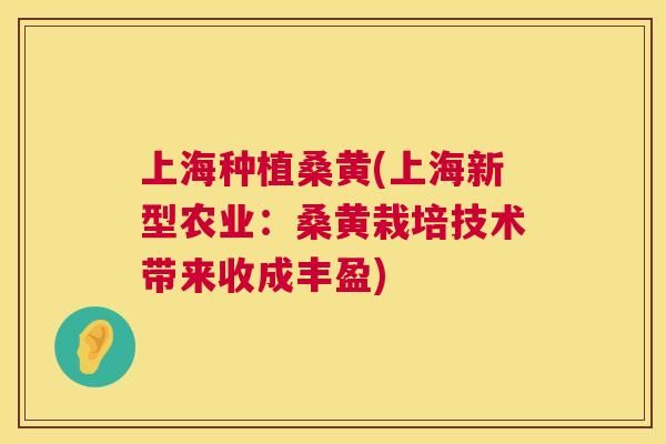 上海种植桑黄(上海新型农业:桑黄栽培技术带来收成丰盈) 上海种植桑黄(上海新型农业:桑黄栽培技术带来收成丰盈)
