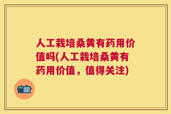 人工栽培桑黄有药用价值吗(人工栽培桑黄有药用价值,值得关注) 人工栽培桑黄有药用价值吗(人工栽培桑黄有药用价值,值得关注)
