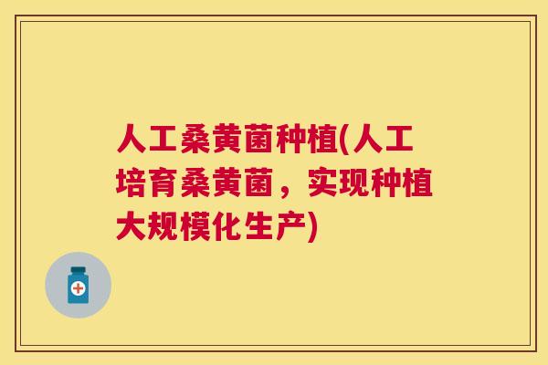 人工桑黄菌种植(人工培育桑黄菌,实现种植大规模化生产) 人工桑黄菌种植(人工培育桑黄菌,实现种植大规模化生产)