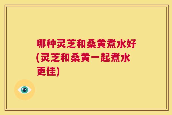 哪种灵芝和桑黄煮水好(灵芝和桑黄一起煮水更佳) 哪种灵芝和桑黄煮水好(灵芝和桑黄一起煮水更佳)