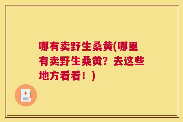 哪有卖野生桑黄(哪里有卖野生桑黄?去这些地方看看!) 哪有卖野生桑黄(哪里有卖野生桑黄?去这些地方看看!)