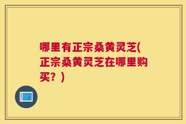 哪里有正宗桑黄灵芝(正宗桑黄灵芝在哪里购买?) 哪里有正宗桑黄灵芝(正宗桑黄灵芝在哪里购买?)