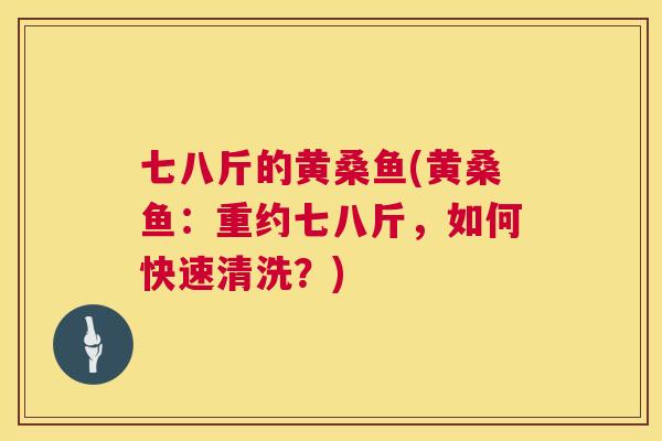 七八斤的黄桑鱼(黄桑鱼:重约七八斤,如何快速清洗?) 七八斤的黄桑鱼(黄桑鱼:重约七八斤,如何快速清洗?)